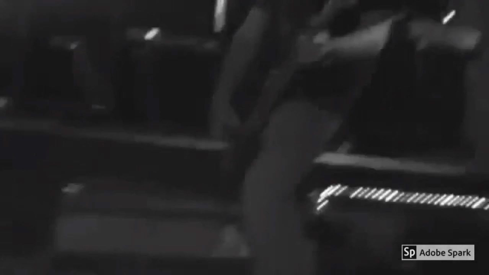 All Videos
